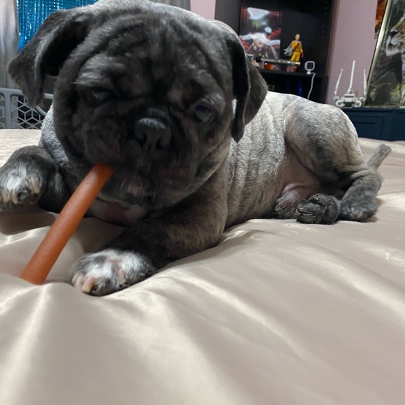 Meet your Posher, Karina - Picture 4 of 10